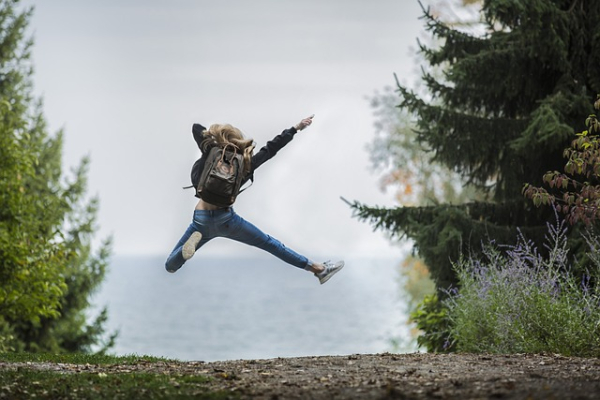 Bild von Pexels auf pixabay Bild von Pexels auf pixabay